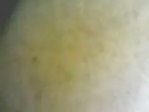 Chat de sexe film po ...